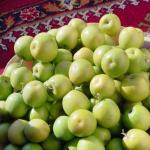 کنار هندی سیبی 